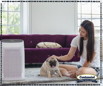 A person sits in a living room with their dog next to an air purifier